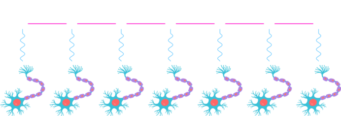 Entangled network.svg